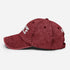 Volleyball 1STAR Vintage Hat